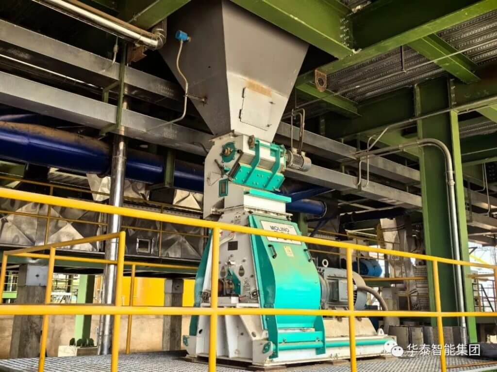 Efficient Edible Oil Production Line for Maximum Yield by CHEMSTA